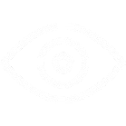 Vision icon